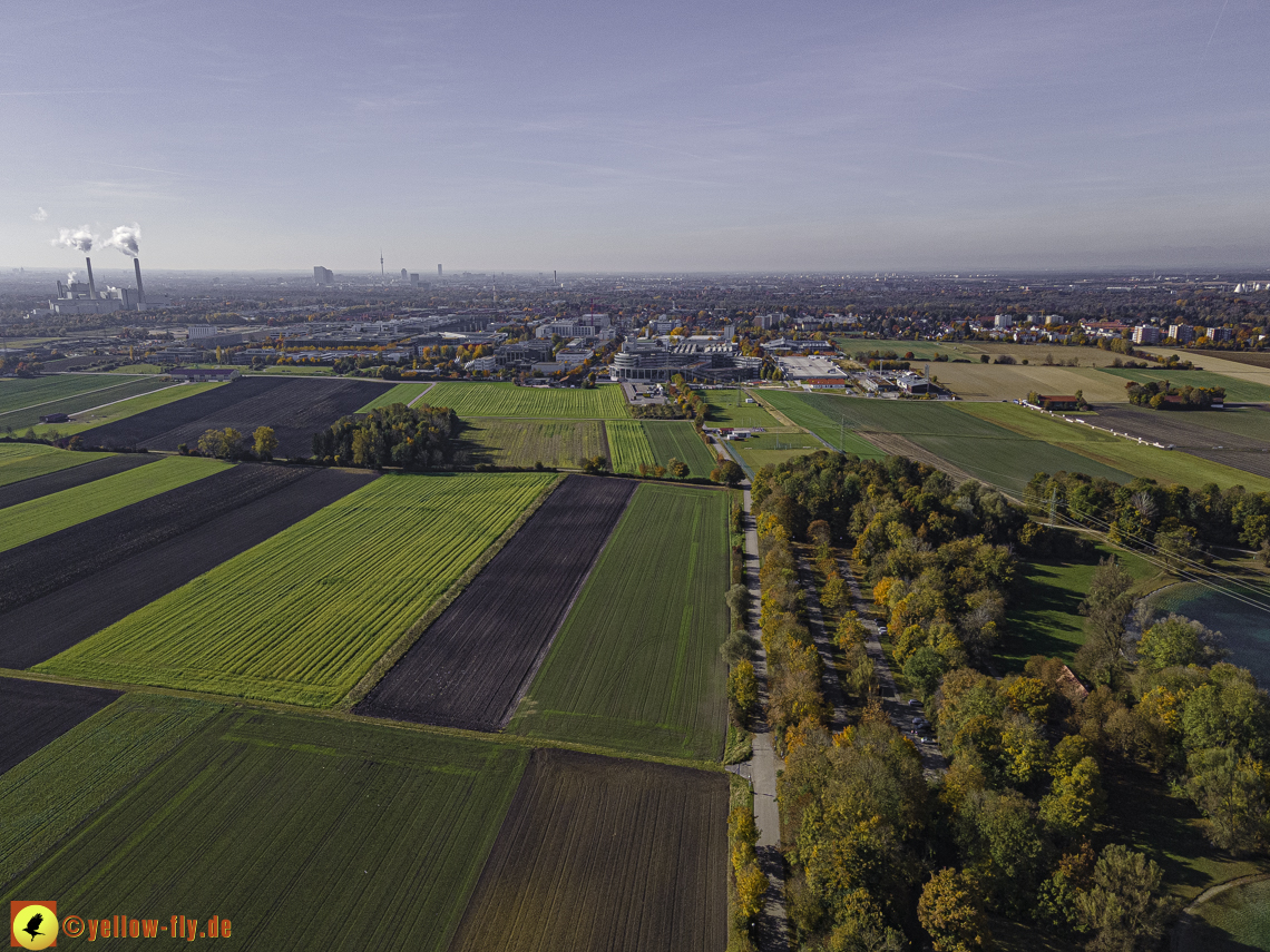 27.10.2021 - Feringasee in Unterföhring