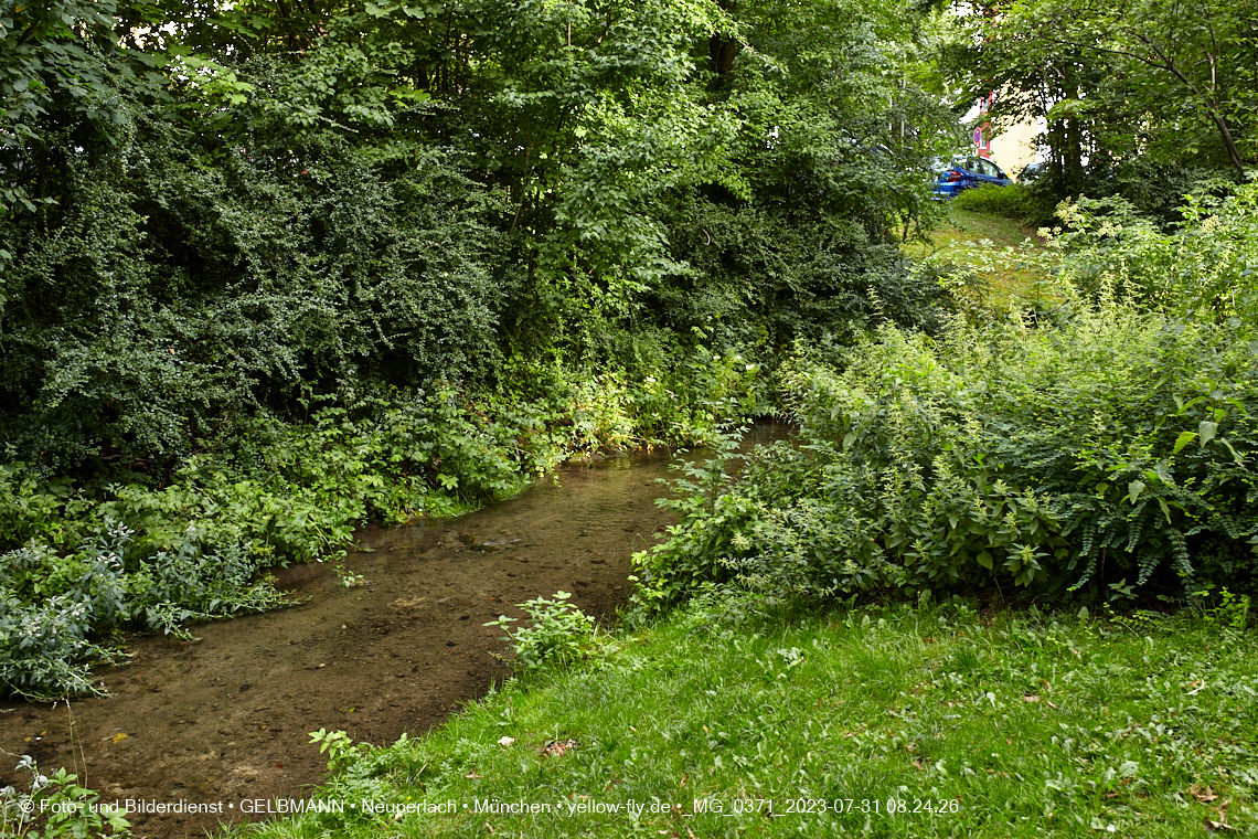 31.07.2023 - Der Hachinger Bach in Neuperlach