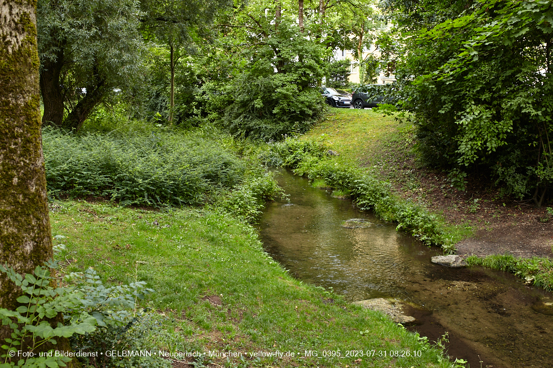 31.07.2023 - Der Hachinger Bach in Neuperlach