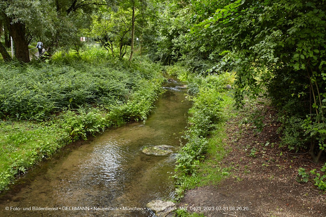 31.07.2023 - Der Hachinger Bach in Neuperlach