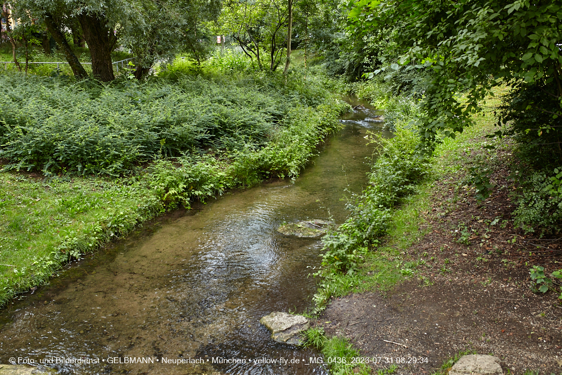 31.07.2023 - Der Hachinger Bach in Neuperlach