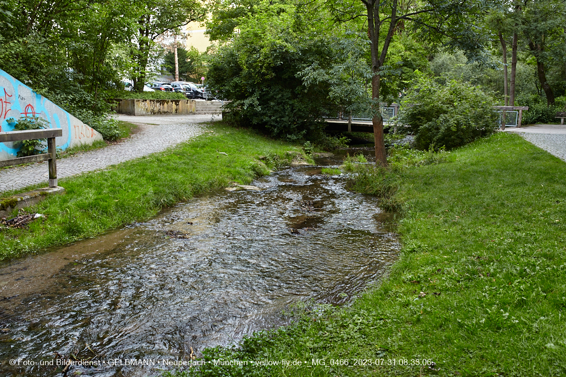 31.07.2023 - Der Hachinger Bach in Neuperlach