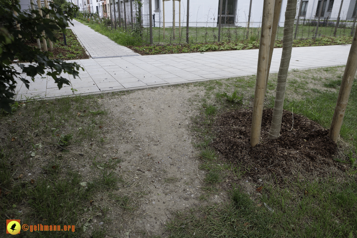 15.06.2024 - Baustelle Pandion Verde und Alexisquartier