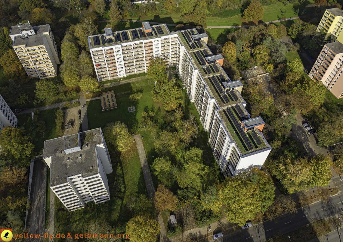 29.10.2024 - Sanierungen am Karl-Marx-Ring