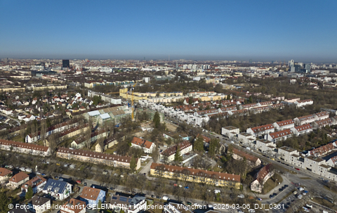 06.03.2025 - Maikäfersiedlung in Berg-Laim