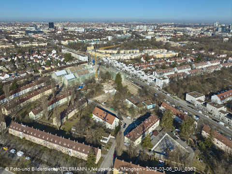 06.03.2025 - Maikäfersiedlung in Berg-Laim