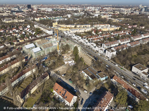 06.03.2025 - Maikäfersiedlung in Berg-Laim