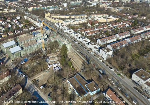 06.03.2025 - Maikäfersiedlung in Berg-Laim