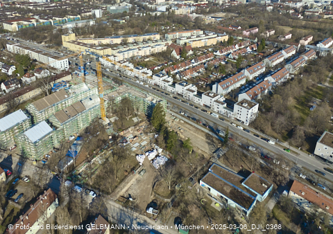 06.03.2025 - Maikäfersiedlung in Berg-Laim