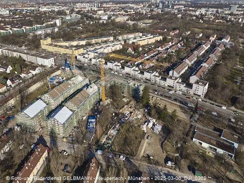 06.03.2025 - Maikäfersiedlung in Berg-Laim