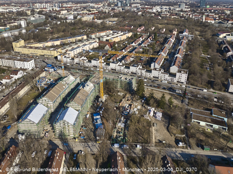 06.03.2025 - Maikäfersiedlung in Berg-Laim