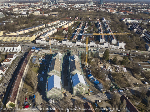 06.03.2025 - Maikäfersiedlung in Berg-Laim