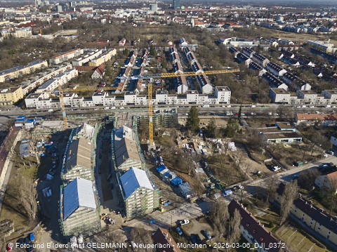 06.03.2025 - Maikäfersiedlung in Berg-Laim