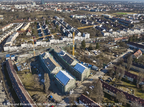 06.03.2025 - Maikäfersiedlung in Berg-Laim