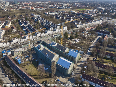 06.03.2025 - Maikäfersiedlung in Berg-Laim