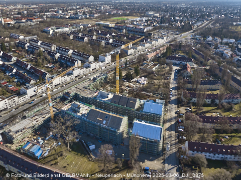06.03.2025 - Maikäfersiedlung in Berg-Laim