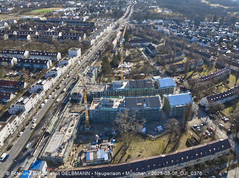 06.03.2025 - Maikäfersiedlung in Berg-Laim