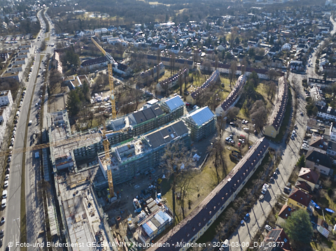 06.03.2025 - Maikäfersiedlung in Berg-Laim