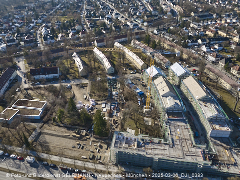 06.03.2025 - Maikäfersiedlung in Berg-Laim