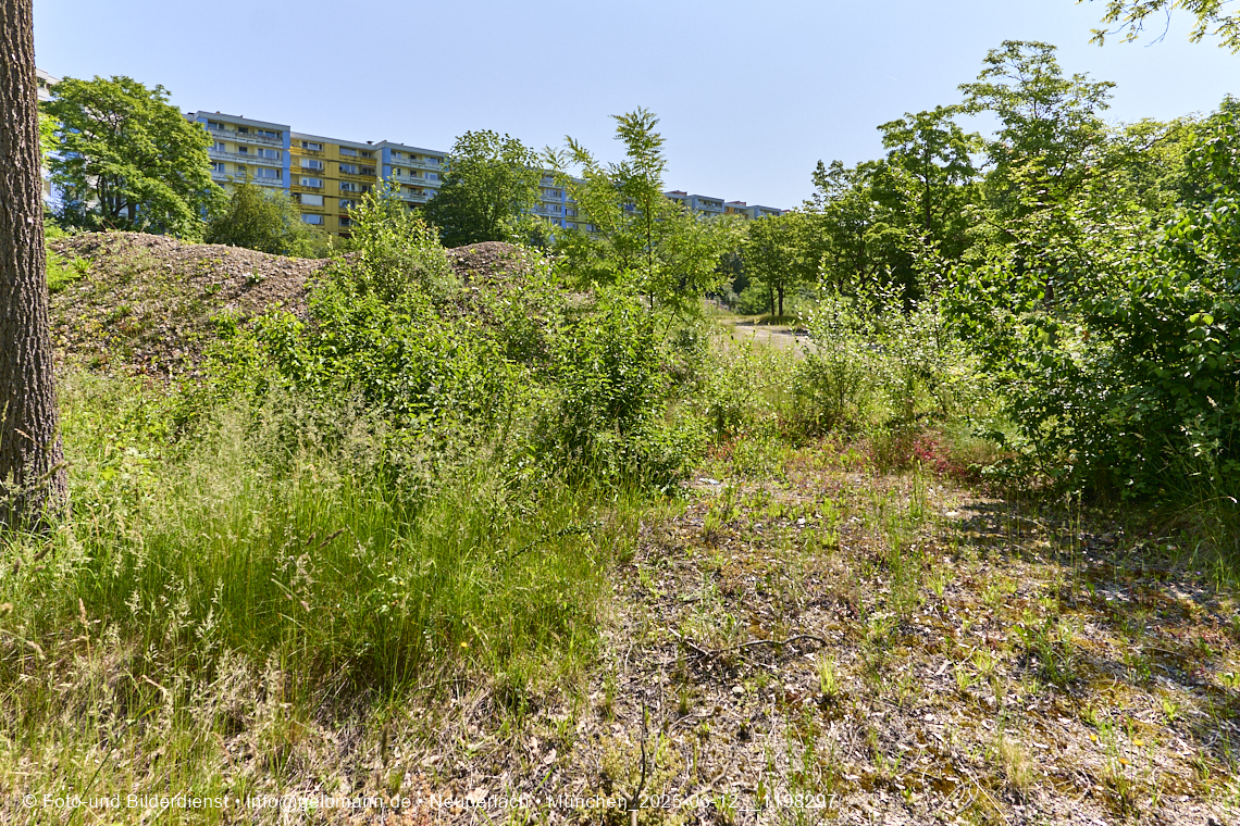 12.06.2025 - das Quiddezentrum im Tiefschlaf in Neuperlach