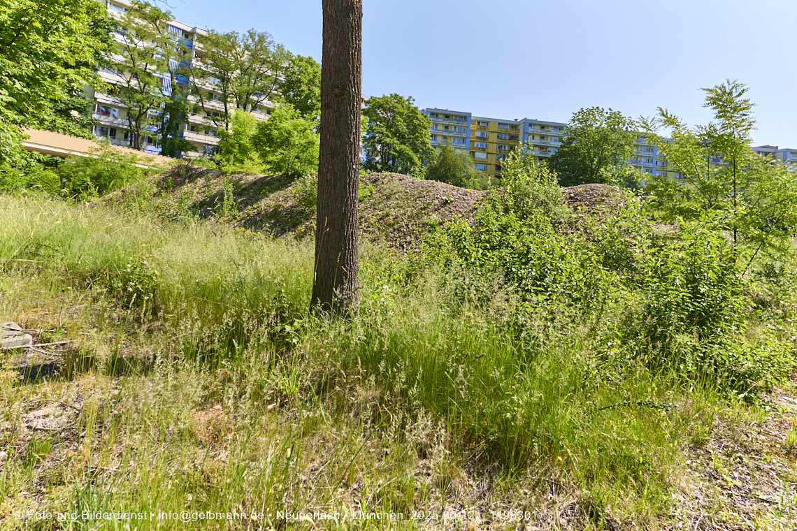 12.06.2025 - das Quiddezentrum im Tiefschlaf in Neuperlach