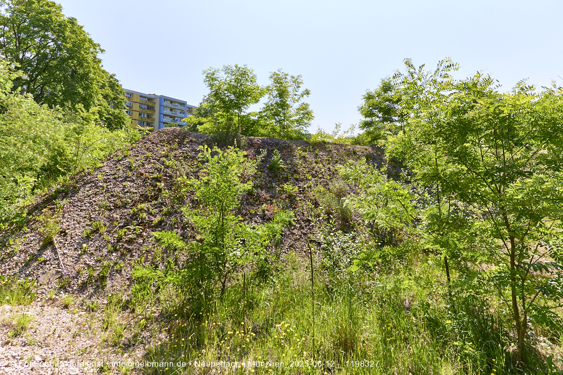 12.06.2025 - das Quiddezentrum im Tiefschlaf in Neuperlach