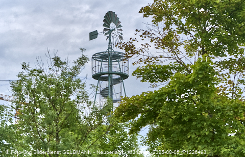 05.08.2025 - DEMOS-Baustelle NaturQuartett in Gronsdorf