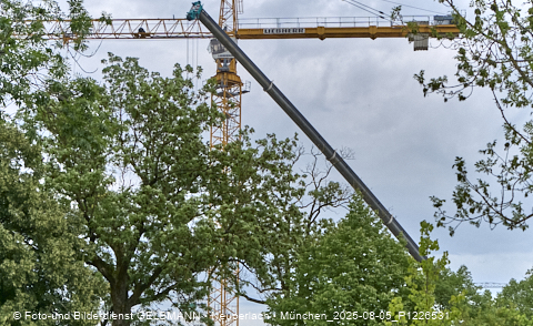05.08.2025 - DEMOS-Baustelle NaturQuartett in Gronsdorf