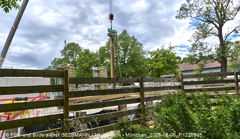 05.08.2025 - DEMOS-Baustelle NaturQuartett in Gronsdorf