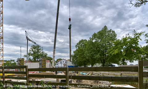 05.08.2025 - DEMOS-Baustelle NaturQuartett in Gronsdorf