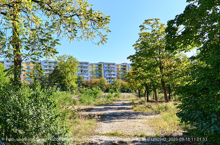18.09.2025 - BIOTOP auf der Baustelle Quiddezentrum in Neuperlach
