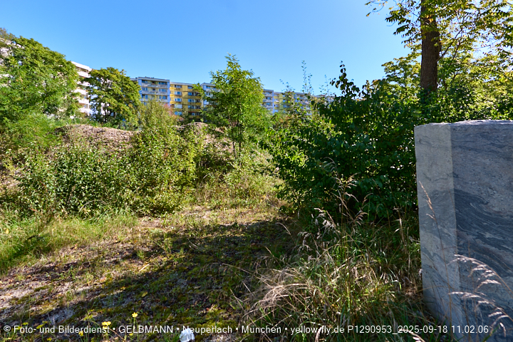 18.09.2025 - BIOTOP auf der Baustelle Quiddezentrum in Neuperlach