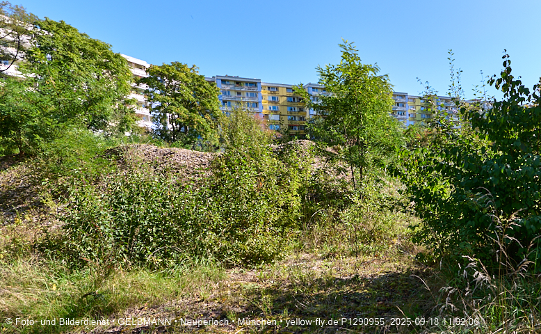 18.09.2025 - BIOTOP auf der Baustelle Quiddezentrum in Neuperlach