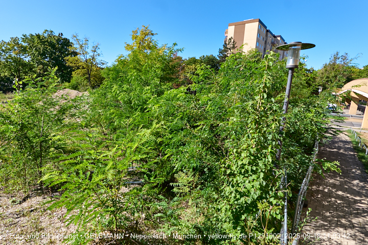 18.09.2025 - BIOTOP auf der Baustelle Quiddezentrum in Neuperlach