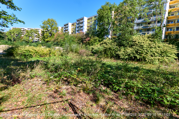 18.09.2025 - BIOTOP auf der Baustelle Quiddezentrum in Neuperlach